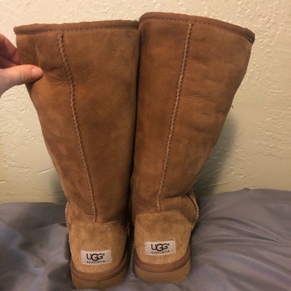 Classic Tall || Boot Uggs - Picture 3 of 8